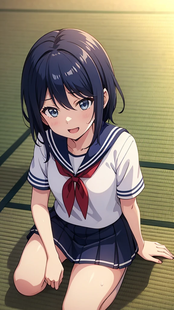 ((masterpiece, Best Quality, Very detailed, Very nice 8K CG wallpaper)), , A little thick, Medium Hair, Navy Blue Hair, Short Hair, Dark blue eyes,judo player、Sailor style uniform、Large bust、Sailor suit、mini skirt、judo、Cute expression、Inside the judo Gymnasium、、On the tatami、discovery、One Girl、whole body、rest、Hoshino Ichika、Bust size: D cup、幼い頃judo家によって育てられた、Sweating