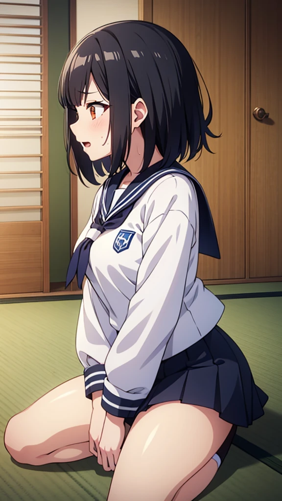 ((masterpiece, Best Quality, Very detailed, Very nice 8K CG wallpaper)), , A little thick, Medium Hair, Slightly dark blue black hair, Short Hair, Dark orange eyes,judo player、Sailor style uniform、Large bust、Sailor suit、mini skirt、judo、Cute expression、Inside the judo Gymnasium、、On the tatami、discovery、One Girl、whole body、rest、Shiraishi Apricot、Bust size: D cup、幼い頃judo家によって育てられた、Sweating