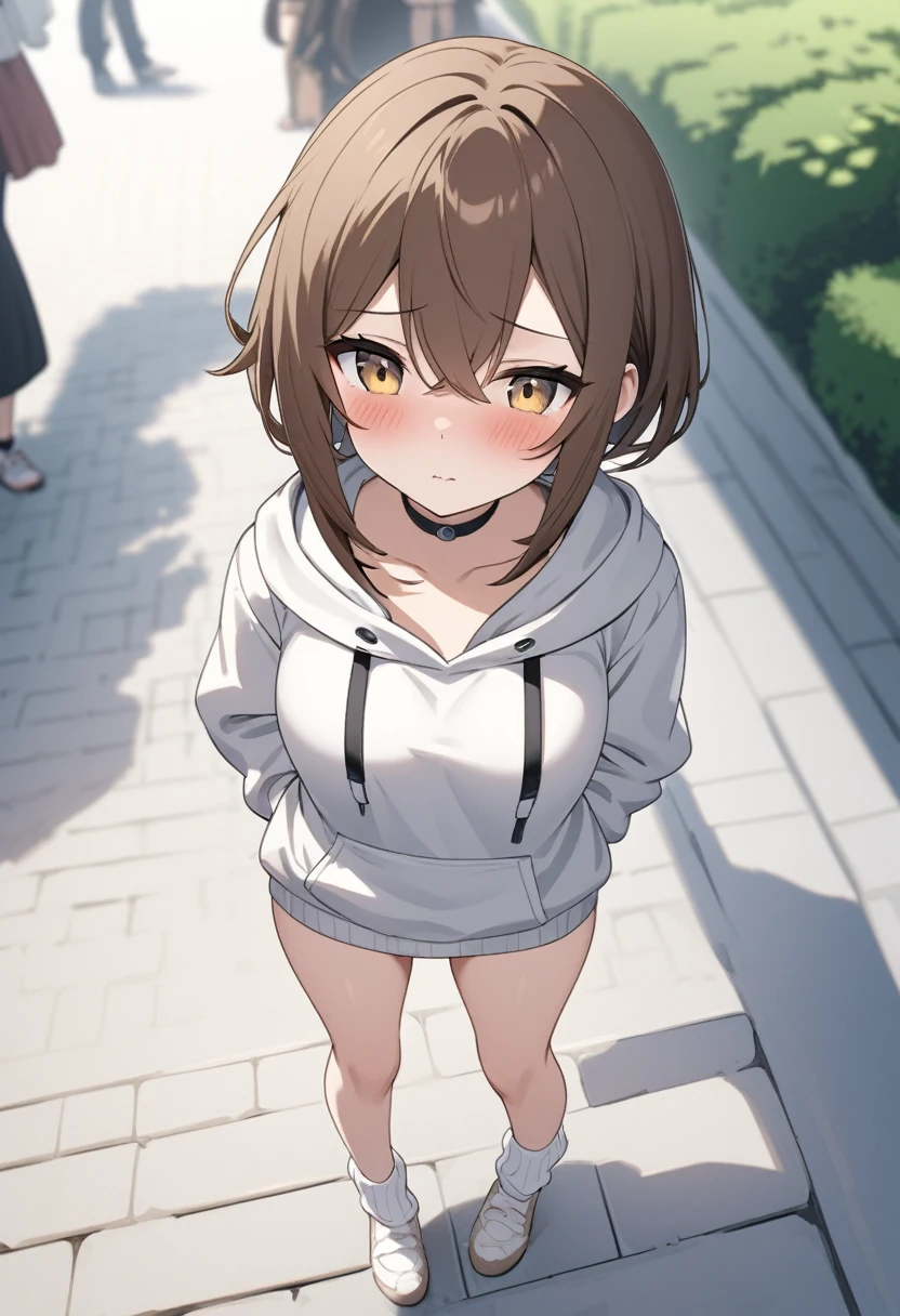 masterpiece, Highest quality, 1 person,( Large Breasts,, Are standing, View your audience,,),Detailed Background、A person who writes in detail、Accurate human body、Knowledgeable person、Accurate 5-finger,Mature Woman,Thighsが太い,Cruby Body,sirius symboli, horse ears, horse tail,Long sleeve、Thighs、、alone,wedding ring,((Oversized hoodie,))