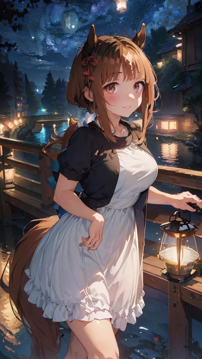 masterpiece, Best Quality, High resolution, Very detailed,(((Transcend))), (((Horse Girl))), (((Standing far away))), (((赤いhandrail))), (((handrail))), (((river))), (((Lantern))), (((night))), (((White dress))), (((Starry Sky)))