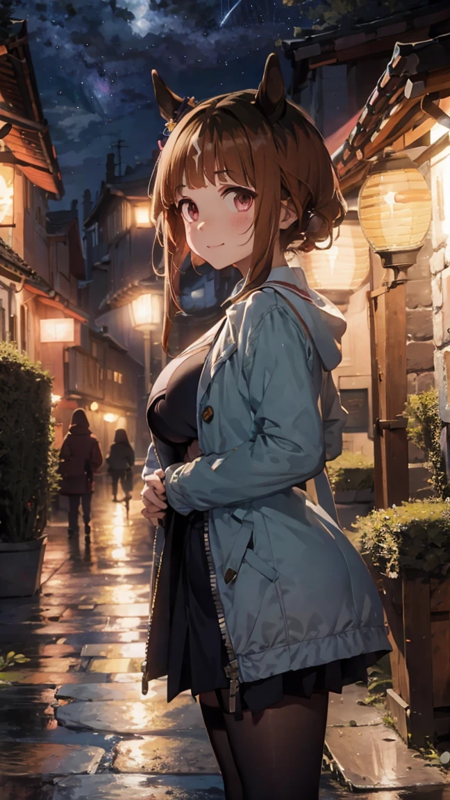 masterpiece, Best Quality, High resolution, Very detailed,(((Transcend))), (((Horse Girl))), (((Standing far away))), (((Cobblestones))), (((Stone Wall))), (((Plants))), (((Lantern))), (((night))), (((Starry Sky)))