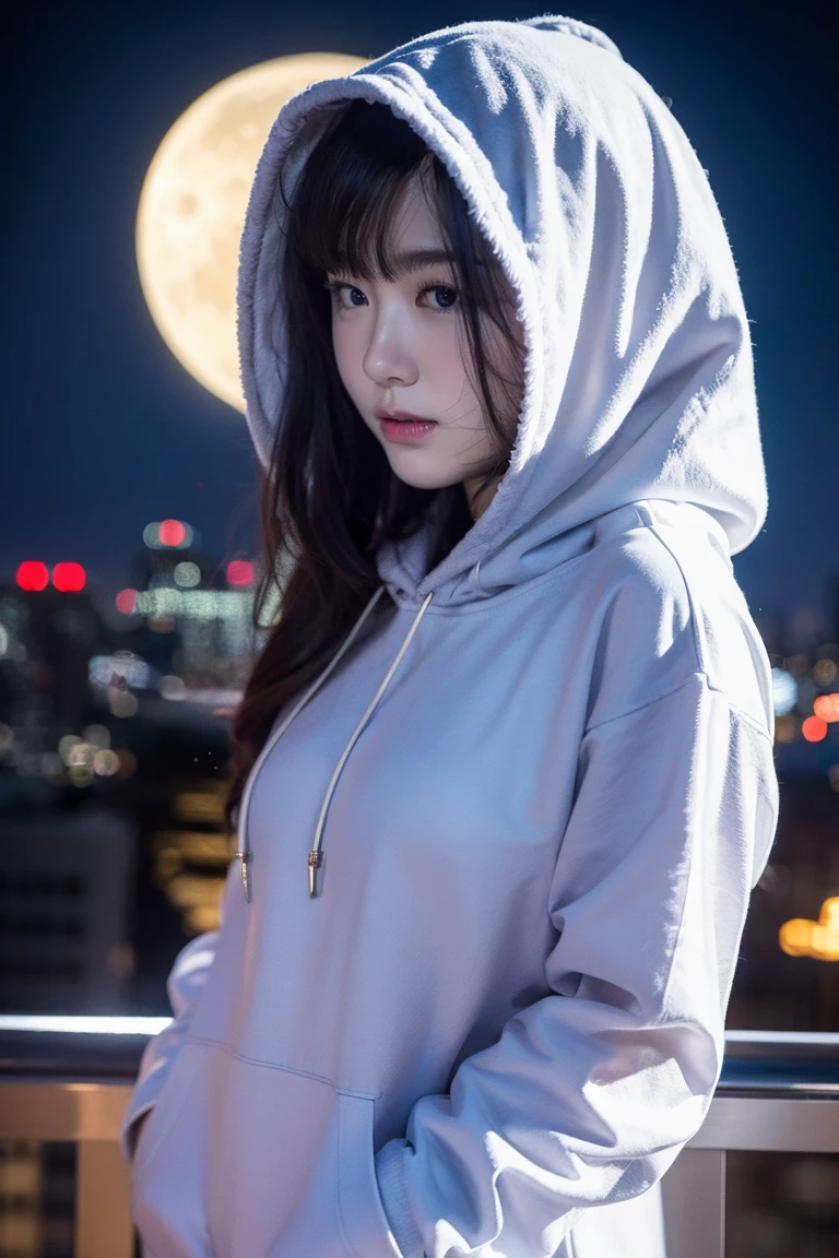 1 girl, standing in the city, night with moon in the sky, wearing black hoodie, veil