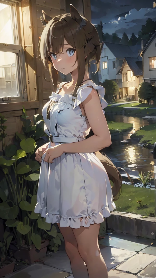 masterpiece, Best Quality, High resolution, Very detailed,(((Schwarzgran))), (((Horse Girl))), (((Standing at a distance))), (((corridor))), (((window))), (((night))), (((White dress))), (((There are houses on both sides))), (((dark))), 