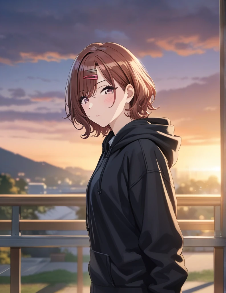 (masterpiece),(Highest quality),(Very detailed),(Best illustrations),(Best Shadow),(Absurd),(Detailed Background),(so beautiful), 4K, 32K,
Official Style,

Higuchi Madoka,
short hair, brown hair, purple eyes, hair clip,

the idolmaster shiny colors,
full-face blush,
torogao,

school uniform, (black hoodie:1.2),

alone,
Japan,
classroom,
evening,
Sunset,
Background Blur, 
focus on face,
realistic skin,