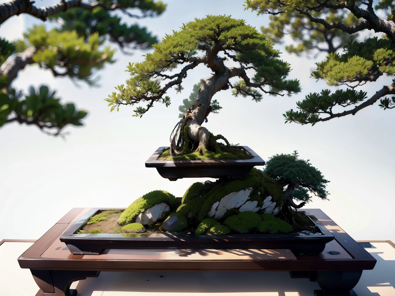 (A female student and a bonsai:1.2)、bonsai, Famous Bonsai Garden, (Lots of bonsai:1.2)、A wonderful masterpiece、High-end display stand、(Blur the background)、Best Quality、High image quality、masterpiece、4K、8k、wallpaper、