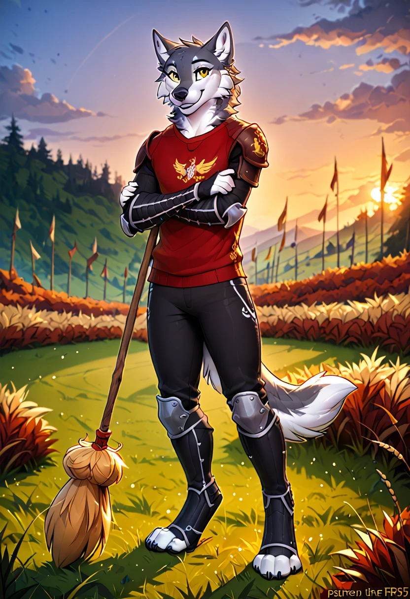 in the style of f-r95, in the style of zaush, in the style of binxxy, solo, (anthro), male, wolf, grey fur, white belly, white chest, digitigrade legs, gold eyes, evening lighting, standing, posing for a picture, smiling at viewer, hogsks, gryffindor quidditch uniform, elbow protections, armor, riding pants, red robe, holding broomstick, laced up robe, grey sweater, standing on the quidditch field