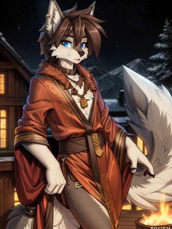 ((masterpiece, best quality)) by zackary911,zackary911, fluff-kevlar, by fluff-kevlar, anthro grey wolf, tala, orange fur, male, solo, detailed eyes, one character, furry character, furry male. blue eyes, big ears, red robe. gold medallion, orange fur. fluffy fur, big tail, serious face, only one tail, dark background, no hair