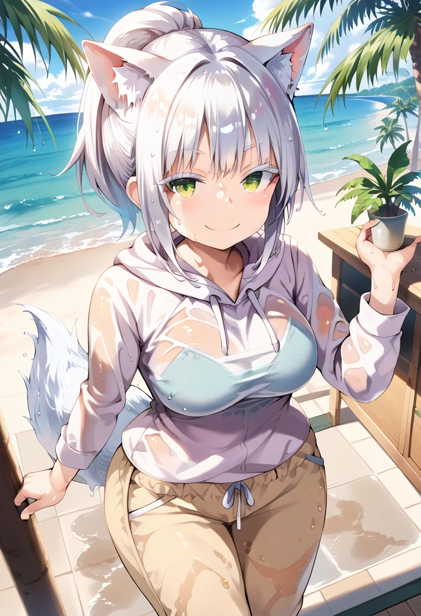 1girl, solo, ((masterpiece)), ((best quality)), extremely detailed face, perfect lighting, <lora:GoodHands-beta2:0.5>, nice hands, perfect hands, <lora:naazaerisuis5v2:1>, naaza erisuis, hair between eyes, dog ears, dog tail, dog girl, white hair, short hair, braid curly hair, yellow eyes, bikini, large breasts, outside, beach, sea, sunny, orange skin, dark skinned female