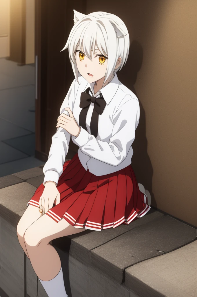 Koneko Toujou, 1girl, solo, short hair, looking at iewer, open_mouth, gold eyes, hair between eyes, white hair, school uniform, upper body, pleated_skirt, sitting, socks, red skirt, white socks,