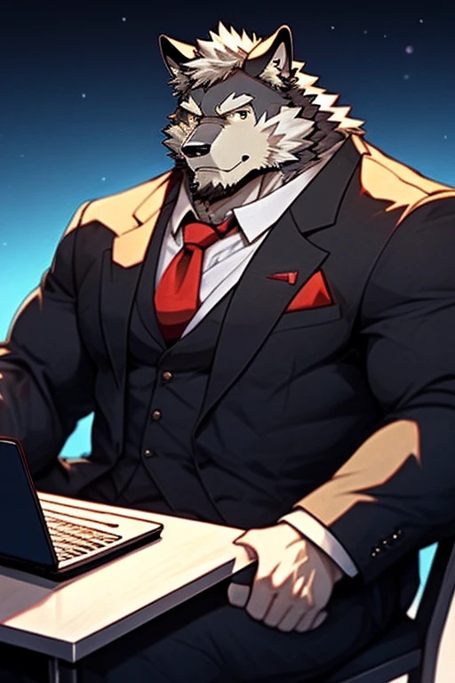 An Anime style Top Body Picture of A Muscular Kemono Furry Gray Wolf. He is wearing A Suit with red tie. he is sitting on a chair while doing his work on his laptop. he is looking at the viewer. the background is white