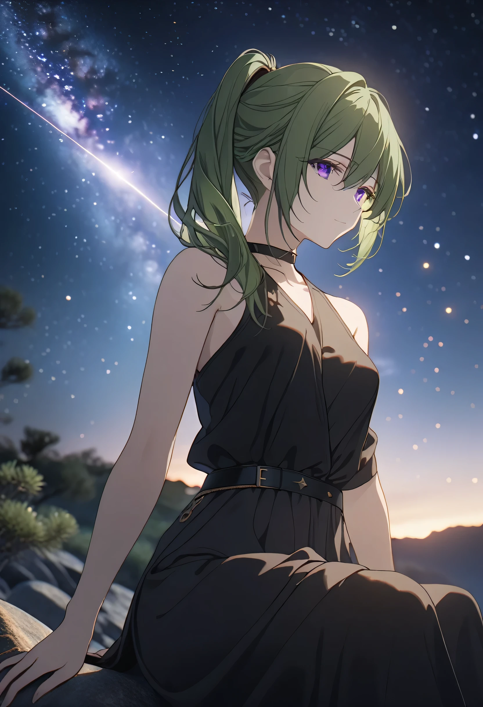 cinematic photo (masterpiece), (best quality), (ultra-detailed), ubel, solo, green hair, side ponytail, purple eyes, half-closed eyes, halterneck, black choker, closed mouth, looking at viewer, armpits, one hand reaching to the back, sitting on a rock, stargazing, milky way, shooting star, tranquil night., illustration, disheveled hair, detailed eyes, perfect composition, moist skin, eyes focus, intricate details, . 35mm photograph, film, bokeh, professional, 4k, highly detailed