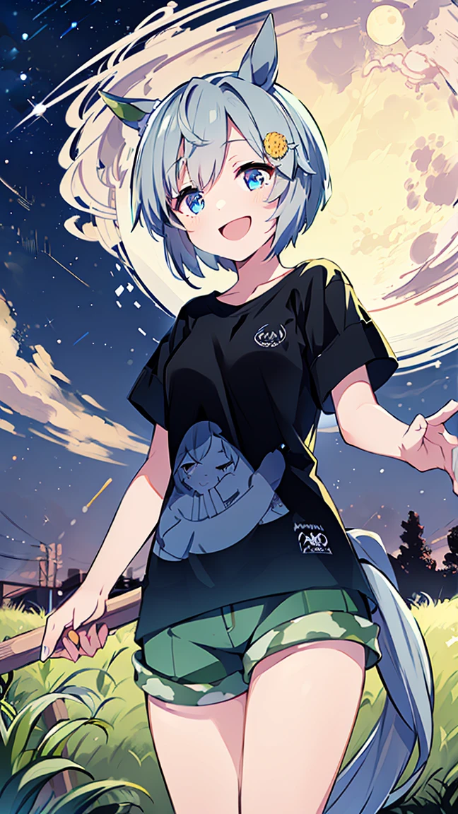 masterpiece, Best Quality, High resolution, Very detailed,(((Seiun Sky))), (((Horse Girl))), (((Standing at a distance))), (((full moon))), (((nature))), (((night))), (((Black T-shirt))), (((Shorts))), (((grassland))), (((Starry Sky))), (((smile)))