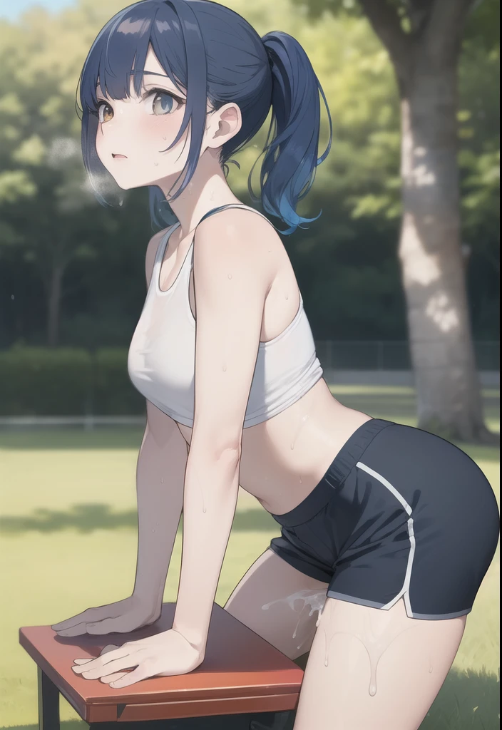 nsfw:1.2, (masterpiece, Best image quality, high quality, High resolution, Realistic:1.2)、Red cheeks,  Blue Hair,  Solo is, woman, , Play sports often,  Yoga Shorts,  Colorful clothing, Park, null, tree々,   is focus,  (Leaning forward、sweat:1.5、Overflowing Sex Fluids:1.5