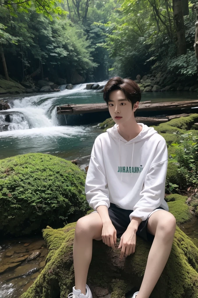 arafed man sitting on a log with a backpack on his shoulder, jinyoung shin, in front of a forest background, jung jaehyun, male ulzzang, taejune kim, sitting near a river, kim doyoung, next to a waterfall, park jimin, in a scenic background, hyung tae, siwoo kim, next to a small river