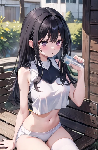 masterpiece, Best Quality, High resolution, , Long Hair, Black Hair, Large Breasts, Exposing shoulders, Sportswear, Play sports often, Crop top, White shirt, abdomen, White bloomers, White panties, Thighs, Sitting, Holding a bottle, sweat, bench, Outdoor