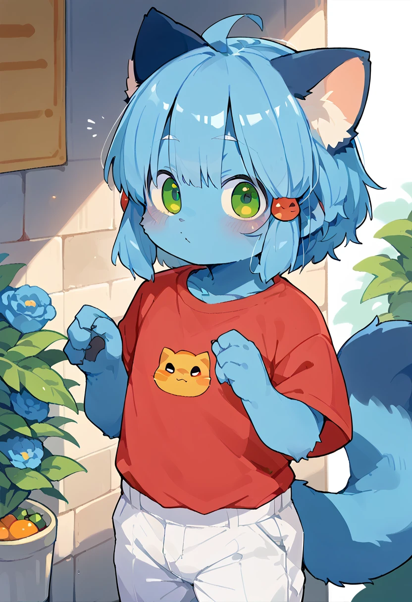 Kemono cat, boy, cute, Blue fur, Blue hair, Green eyes, Wear a red shirt, Long grey white pants, solo