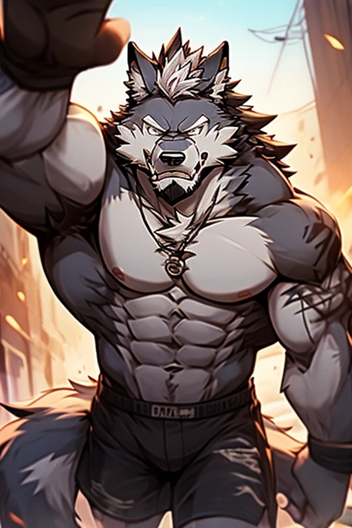 A Very Muscular Gray Wolf. His eye is looking at the viewer. He is topless With A Gray shorts. He have tattoo on his arm. His hair is spikey and messy. He have A gray hair. The background is White. He is Very Angry. He have a very long gray tail. his mouth is little open. he is looking at the viewer and grabbing the viewer