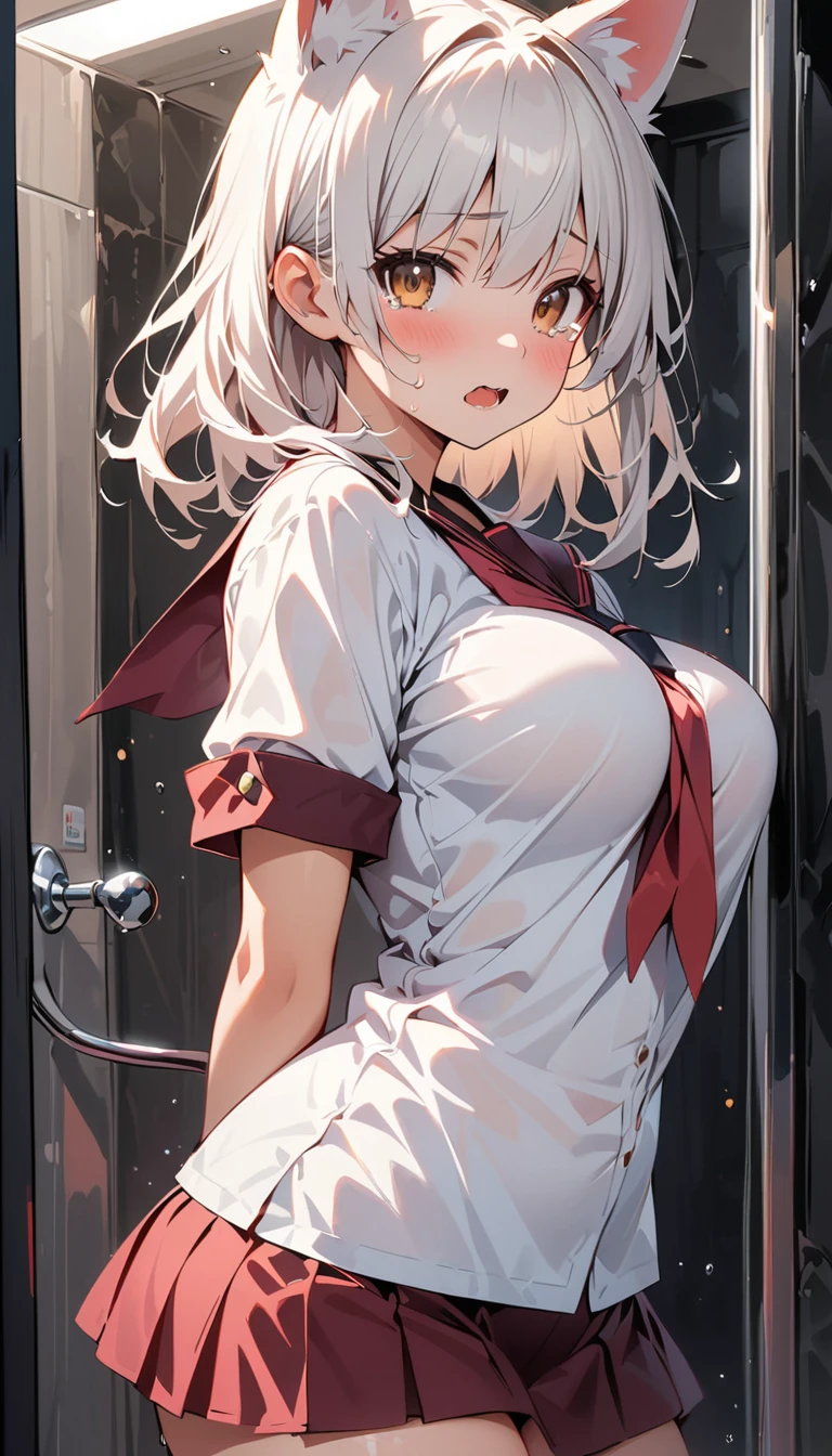 masterpiece, Highest quality, Expressionless, 1 girl, 、Locker Room、Change of clothes、Open shirt、White panties((Gray Hair))　　Nipples　　　Look away　Big Breasts　Hair clip