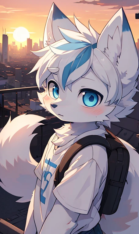 ((Best image quality))，masterpiece，The only person，Very detailed，(Male Arctic fox:1.5), (White skin:1.3), hairy，((Blue pupils))，(White fur:1.3) ,(Blue ears),(hairy 动物 耳朵s)，t-shirt，((Ha ha))，Delicate face，Detailed clothes，（（Full body close-up）），Character Close-up，The Ultimate Eye，Night view of big city，，unmanned，Chiaroscuro，Sunset，Colorful clouds，[On the roof，Anime style，Gray backpack，