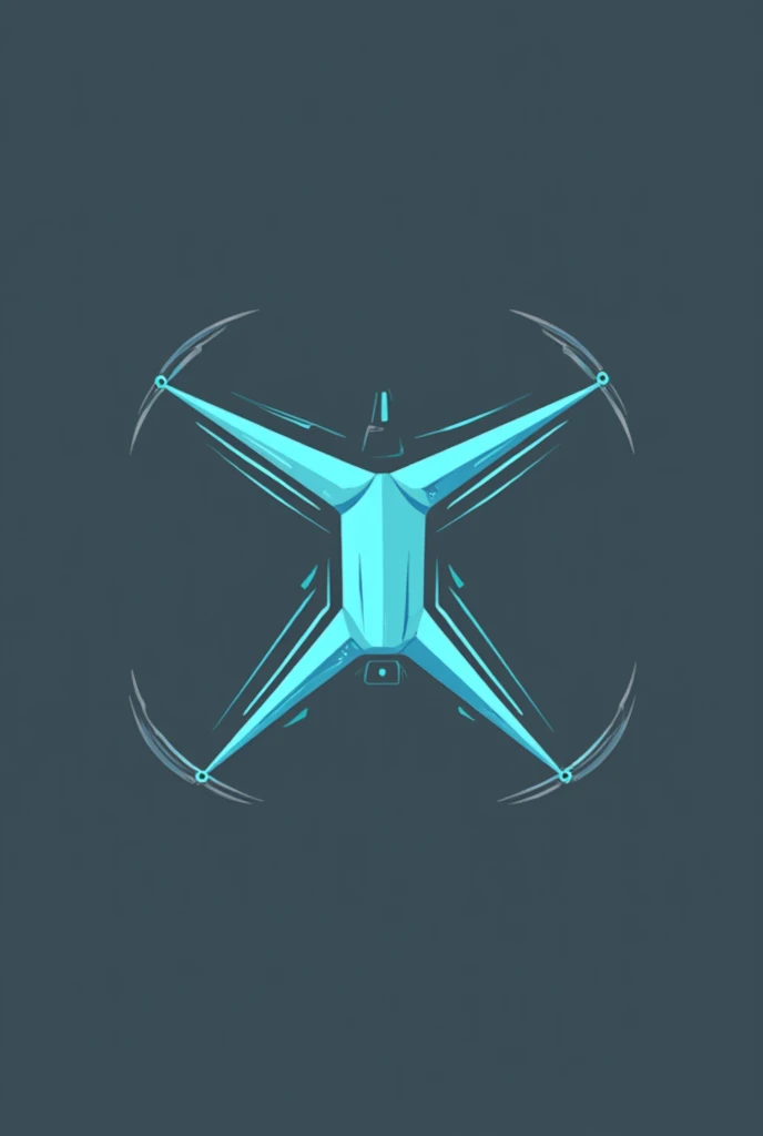 Create a logo for a delivery company that uses drones