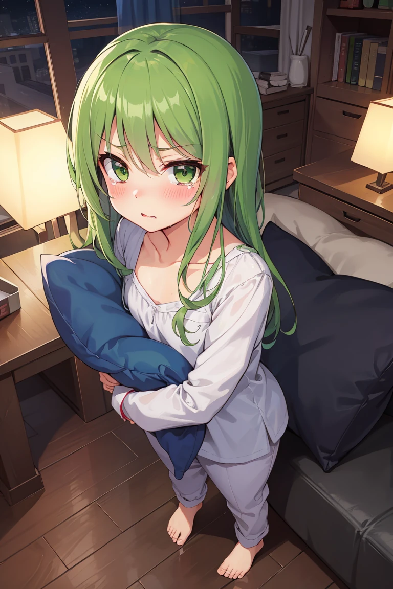 Portrait, official art, best masterpiece, best quality, best resolution, 8K, best detailed, perfect anatomy, From above
BREAK
standing, (hugging a pillow:1.3), Looking up
BREAK
green hair, long hair, green eyes, pajamas, (flat chest, child_like build, short stature:1.2), 1small girl, solo
BREAK
serious face, bashful, tears, close your mouth
BREAK
bedroom, (night, midnight, darkness:1.3), very fine and detailed 16KCG wallpapers