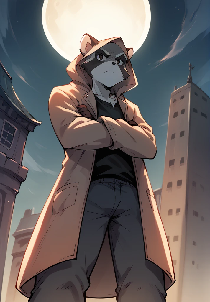 A black and white raccoon with a half-open hooded coat, hundred in hands and dress pants, serious gaze, watching the viewer, with arms crossed, low lighting, Building, faroz, narrow moon, low angle shot.