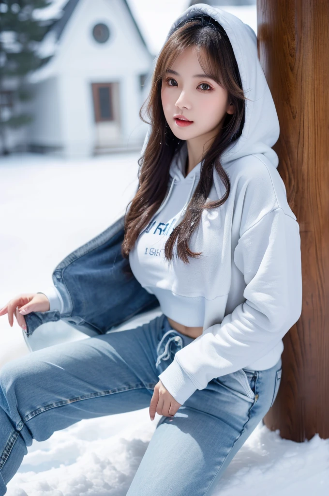 best quality, 8k, very delicate and beautiful, highly detailed face and skin texture, shiny skin, high resolution, huge tits cute long hair chinese girl in cropped hoodie and thigh denim pants in snow, sharp focus