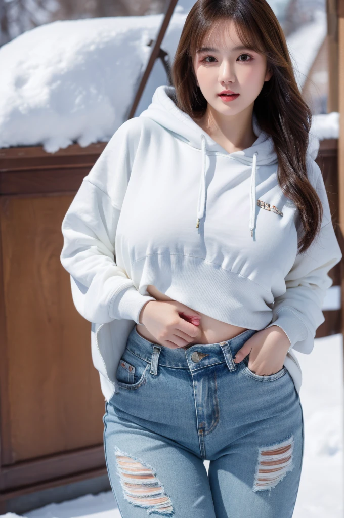 best quality, 8k, very delicate and beautiful, highly detailed face and skin texture, shiny skin, high resolution, huge tits cute long hair chinese girl in cropped hoodie and thigh denim pants in snow, sharp focus