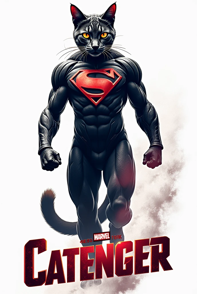black cat