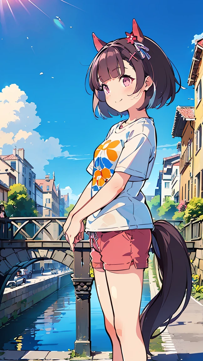 masterpiece, Best Quality, High resolution, Very detailed,(((Nishino Flower))), (((Horse Girl))), (((Standing at a distance))), (((Streetscape))), (((bridge))), (((nature))), (((T-Shirts))), (((Shorts))), (((Plants))), (((blue sky))), (((smile))), (((Multicolored Hair))), (((horn))), (((Pink Eyes)))