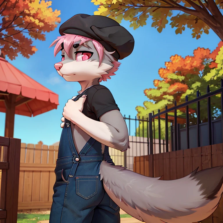 anthro male grey fox, pink nose, dark pink eyes, black ears, thick black lineart, thick outline, rear view, standing, looking back, upset face,, thin body, digital art, wearing a light pink shirt, beret hat and lightyellow overalls, very fluffy body, slim male, furry art, simple shading, upload from e621, backyard, full body, full length portrait, thick tail, hands on chest, side view, seen from below, perspective, autumn