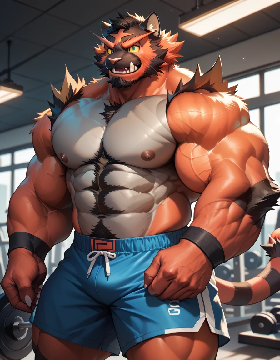 bara incineroar, fur, strong physique, perfect anatomy, masterpiece, black beard, big eyes, solo, great lighting, shorts, gym, topless