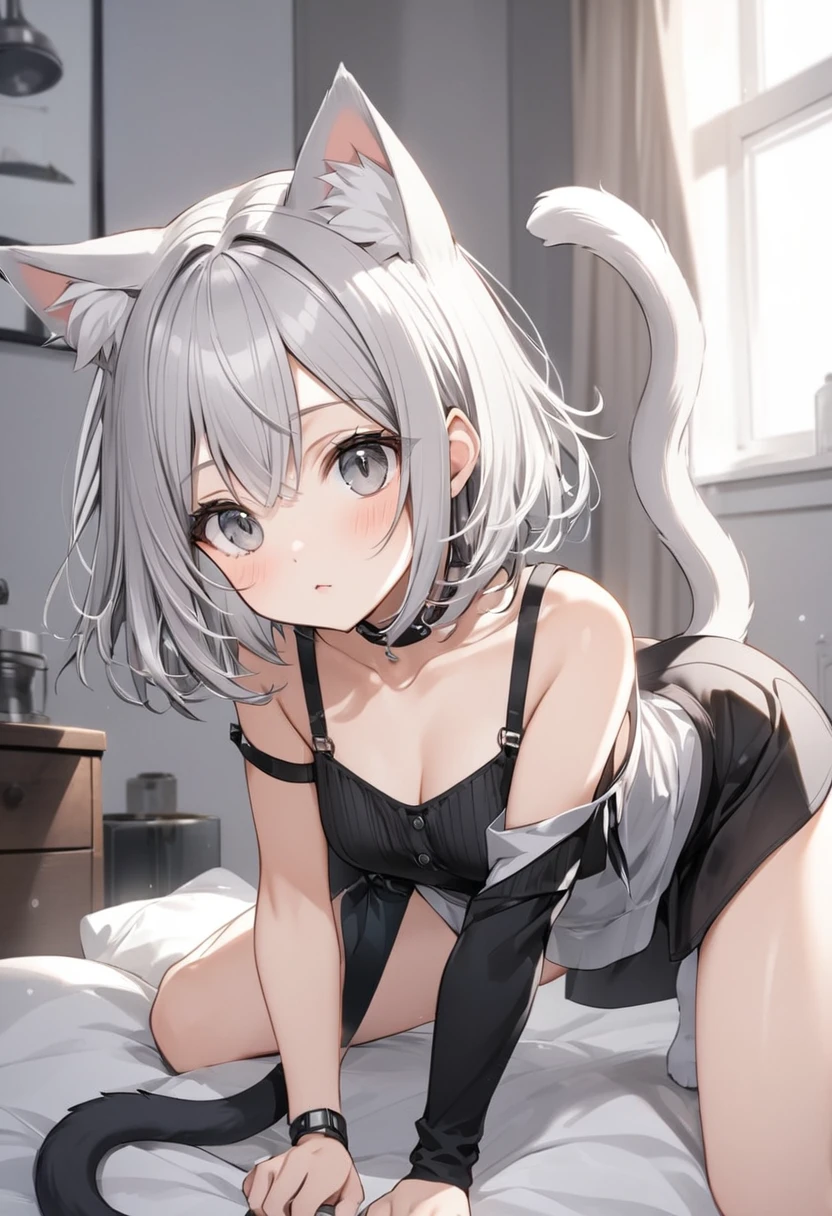 short hair, (Gray eyes:1.5),  animal ears, tail, Silver hair,  Cat ear, Cat&#39;s Tail,  Bikini Swimwear(small breast:1.2), BREAK looking at viewer, BREAK 湖, BREAK (masterpiece:1.2), best quality, high resolution, unity 8k wallpaper, (illustration:0.8), (beautiful detailed eyes:1.6), extremely detailed face, perfect lighting, extremely detailed CG, (perfect hands, perfect anatomy),whole body