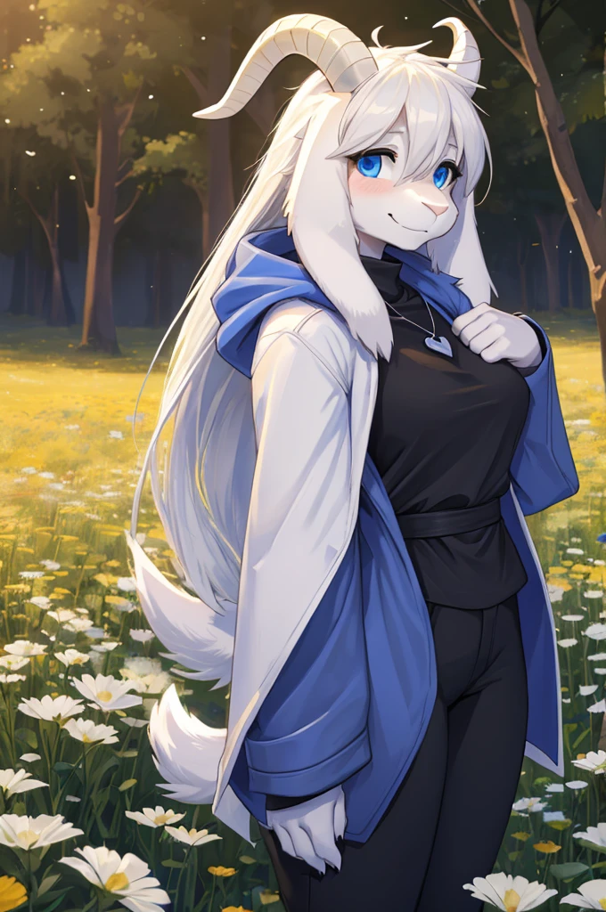 woman, ***** adult, shy, shy expression, alone, in a field of flowers, furry, goat, anthropomorphic goat, Asriel, Undertale ((Asriel Dreemurr)), medium large breasts, big ass, wide hips, perfect female body, tall, ((long hair, long white hair, straight hair )), blue eyes, anthropomorphic face, cartoon, smile, Eskimo coat ((blue coat, no drawing, Eskimo coat)), metacarpal paw, black blouse ( (black shirt, black pants)), white heart drawn on the shirt, wears a golden heart pendant, goat's tail, short horns, white horns ((droopy ears, big ears)), goat's paw, anthropoporphic paw, detailed , better quality, better detail, details and quality.