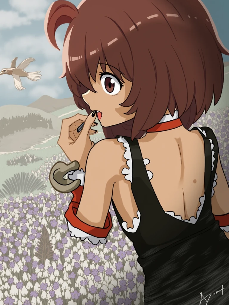 honkers
