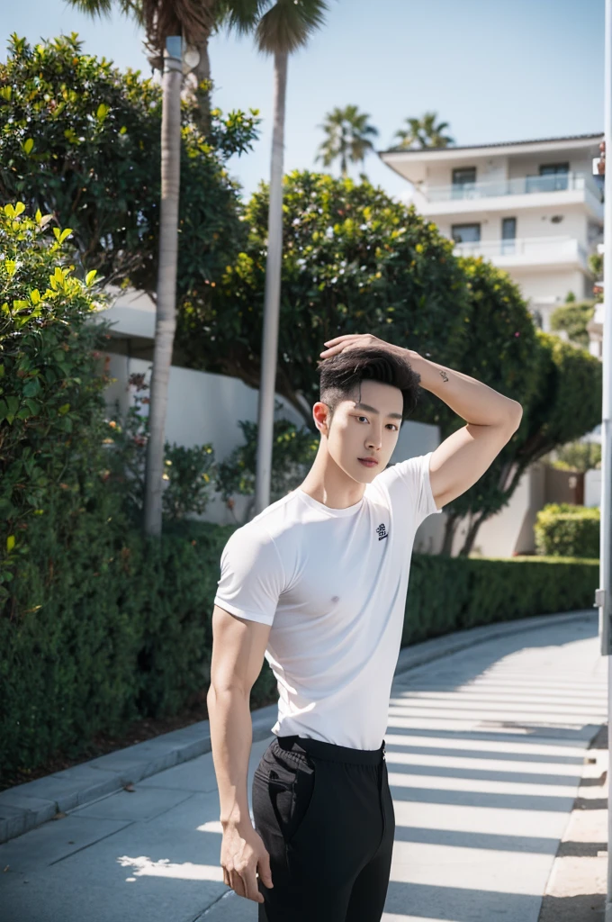 arafed man standing on a path in a white shirt and black shorts, siwoo kim, handsome chad chin, south korean male, by Adam Dario Keel, sun-hyuk kim, attractive pose, mid-shot of a hunky, korean muscle boy 2 , inspired by Adam Dario Keel, woo kim, with palm trees in the back