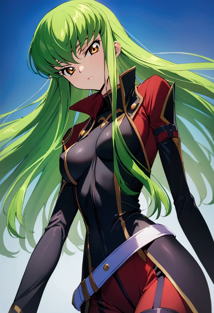 最佳质量,masterpieCe,aesthetiC,very aesthetiC,一人の女の子, C.C., Code geass ...