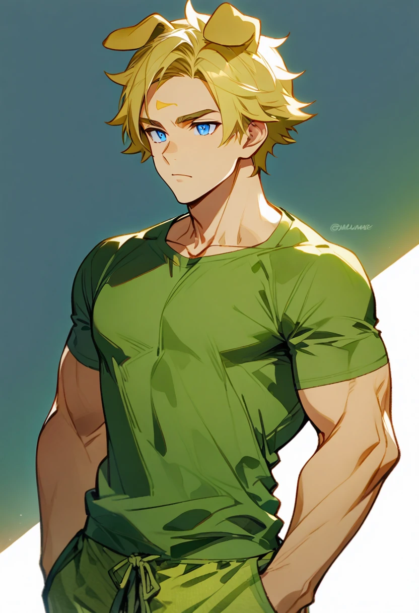 Solo male, muscular, Short hair with yellow forehead, Retriever ears, green shirt, Melange pants, Blue eyes