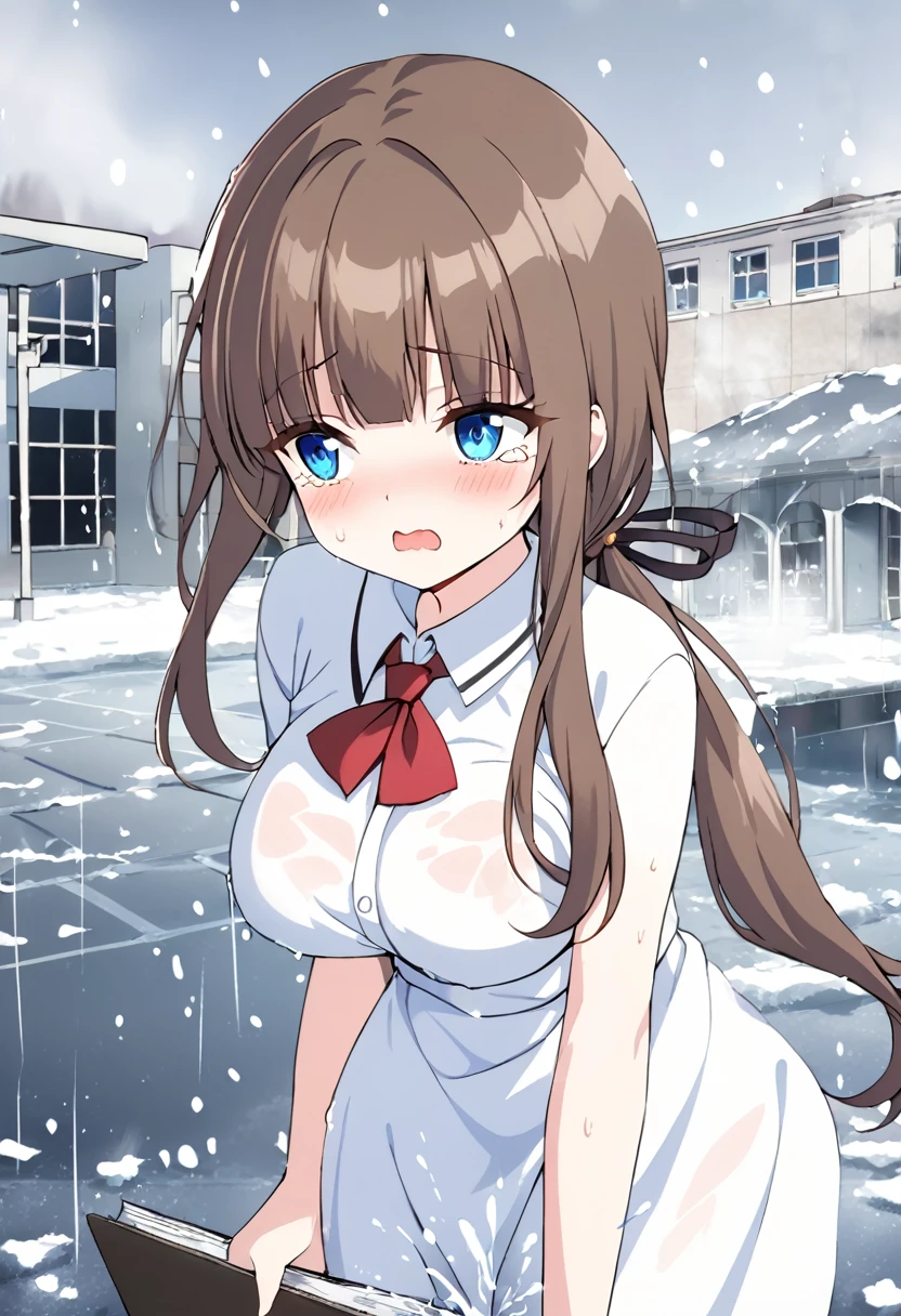 1girl, solo, nsfw,, (wearing nothing:1.6), large breasts., empty eyes ,tiffa adill,blue eyes,brown hair,long hair,blunt bangs, low ponytail,, big breasts, Abandoned amusement park、 file, crying ,flooding, abandoned hospital, fire, heavy snowfall, frozen, whole body, , lightning strike Peeing, lactation, projectile lactation (Sweating profusely, Love juice, Wet Woman, female ejaculation)