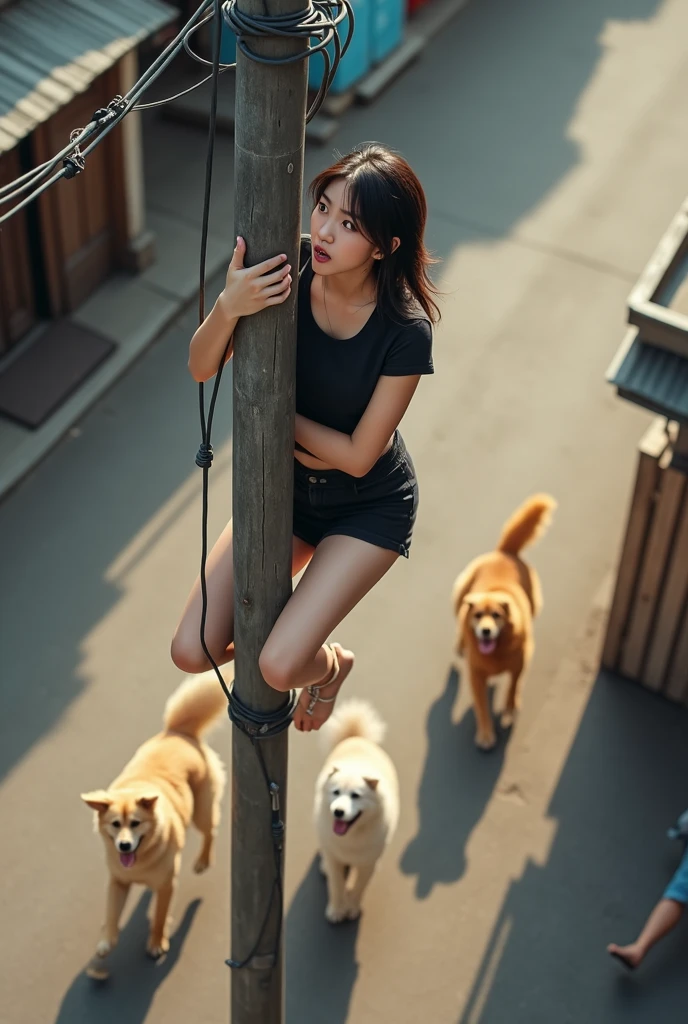 Rin drawn in great detail々Shishi Face、Beautiful eyes drawn in detail、NSFW、murky、natta、Night、nightfall、20 o'clock、((looking distantly))、The wind is blowing、Girl naked、(((Walking the dog)))、barechested、((Naked walks))、All Nude、Naked 、anklets、Luxurious hair ornaments、((poneyTail))、8Head and body、Small face、A slender、Happy smile、Very skinny、Luxury、skinny、tiny chest,Ribs、discreet breasts、Smaller chest、small tits、beauty legs、Constricted waist、dented belly、Beautiful hair、Backgrounds that look like real photos、Frame-in from head to toe、耳Nipple Ring、High-cut shoes