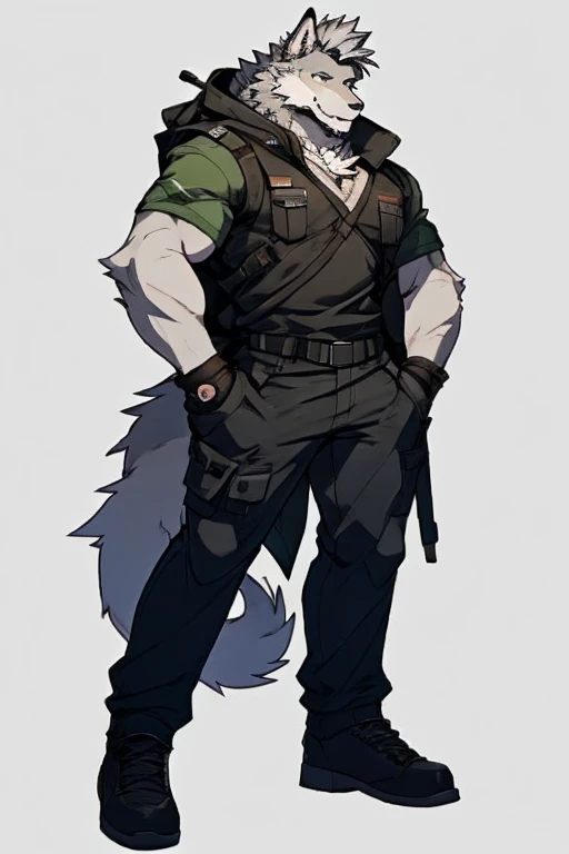 A Top And Right Side Body Picture of A Very Muscular Furry style Gray Wolf. he is wearing Full Long Green Soldier military Suit outfit. He is looking at the viewer. The background is just color white. His hair is spikey and messy. He have A gray hair. He have a little smile with blushes on his face in shyness. He have a very long tail. he have gray eyes. his both hand is in his pockets. he is standing in the background, his mouth is little open