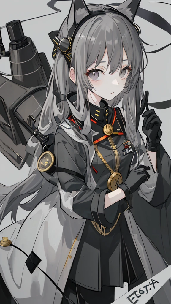 nervous，gray long hair，Dark Eyes，gray military uniform，animal ears, bell，coin, goggles, 