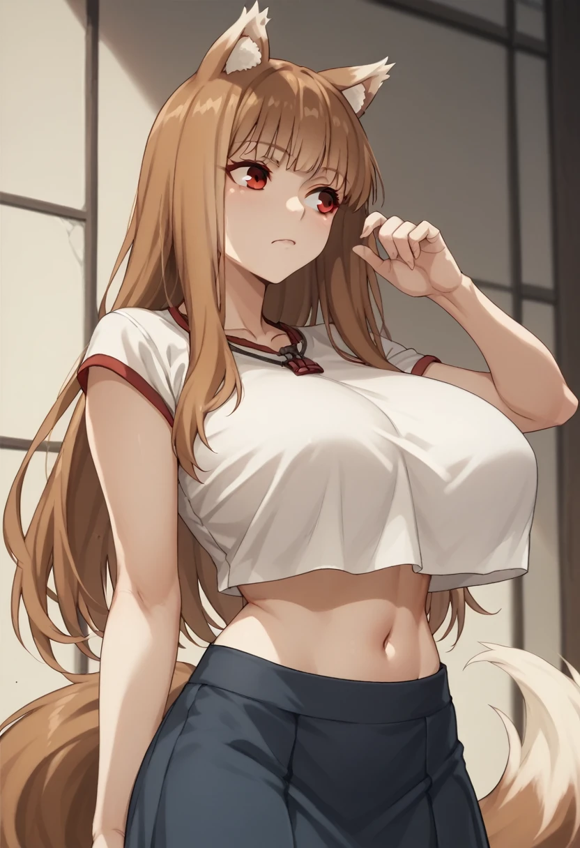 Brown Hair,Long Hair,Red eyes, Wolf Girl,Wolf Ears,Wolf's tail、Huge breasts、Cropped sleeveless T-shirt、Maxi Skirt、I can see my belly button