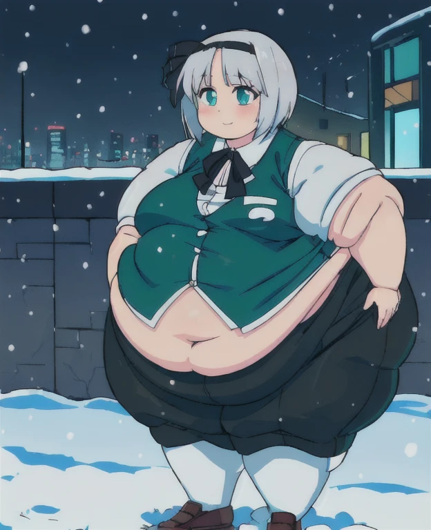 ((best quality, 4k, 8k, anime girl, masterpiece)), ((((beautiful extremely detailed face, beautiful eyes)))), glowing eyes, cinematic lighting, perfect anatomy, ((youmu konpaku)), (((chubby, SSBBW, very obese, extremely wide waist))), (((green vest, blazer, skirt, totaly fitting clothes, oversized clothes))), (full body view), ((gray/silver hair, glowing hair, black headband)), (((very wide waist))), (((fully clothed, fully concealed belly))), ((city lights, snow)), ((thick outlines, anime style, vibrant colours)), slight smile, ((low camera angle)),