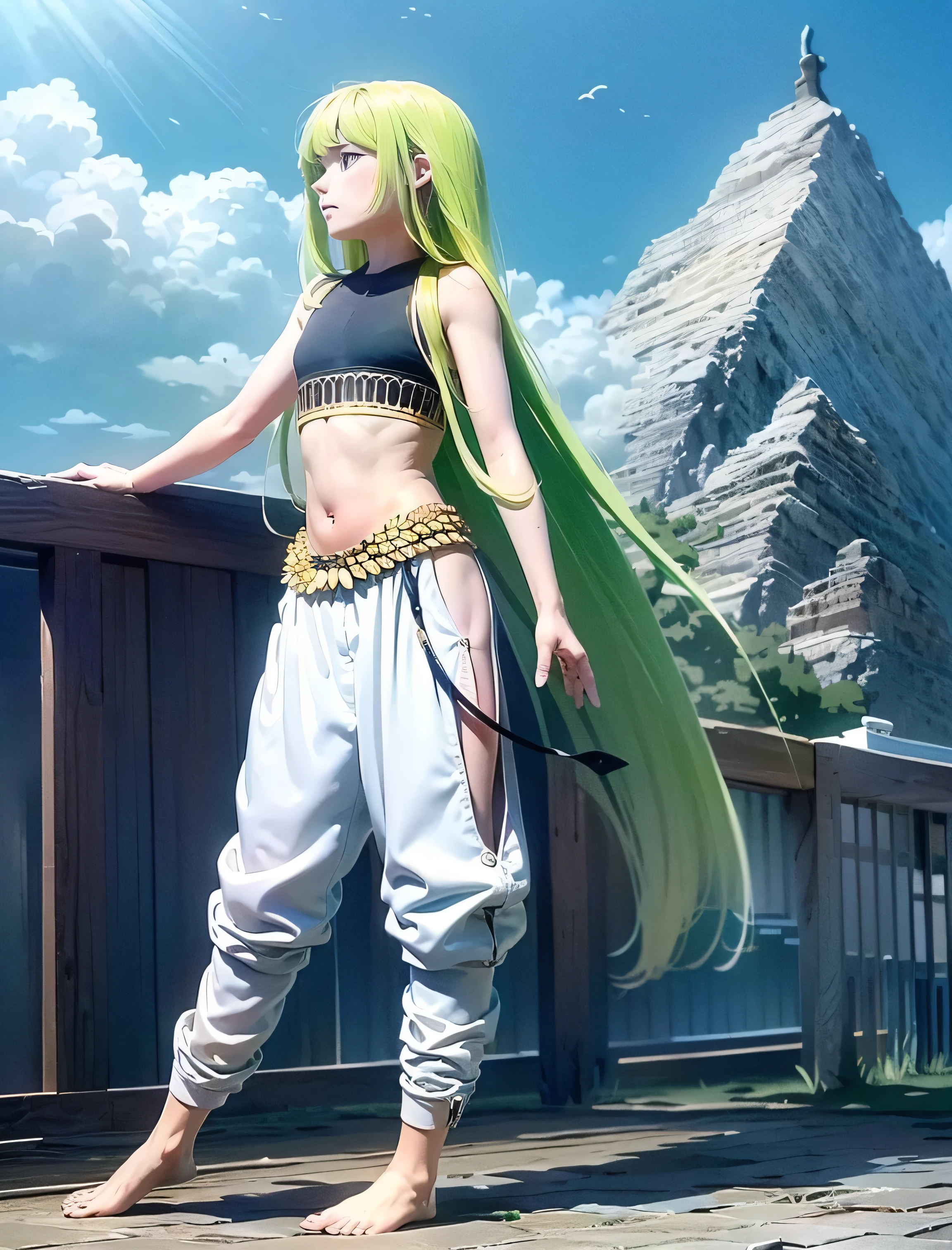 (masterpiece, high-quality, Mystical, ideal ratio of body proportions), (ultra high resolution, 8K, 16k, natural lighting, textile shading), wide shot photo:1.6, (1 beautiful anime:1.3, solo:1.5, full body:1.3), alone, shiny skin, BREAK, enkidu, green hair, arabian clothes, black crop top, black fingerless elbow gloves, ((white harem pants)), gold eyes, barefoot, ((inbalance posture)), cinema poster image, Exotic wallpapers, fantastic colorful art, (fantasy image:1.5), ((correct anatomy:1.5, perfect anatomy:1.3, correct hand, small foot:1.2)), midriff, sitting