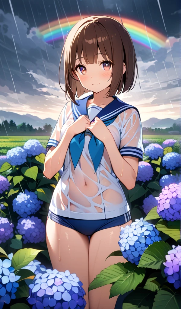 (One Girl),(Best image quality, 8k, Anatomically correct),((Brown Hair,Bobcut:1.1)), (Cute eyes, Dark Eyes,Shining Eyes), (thin), (Mid-chest),(Slim body),(Glowing Skin:1.1),(Healthy skin color:1.2),(Great atmosphere),Ultra-high resolution, Textured skin, Heart Effect,i love you,

Rural landscape,Hydrangea,Hydrangea畑,rain,Grey Clouds,rainbow,

High school girl,Sailor suit,Wet clothes,Wet body,

smile, Open your arms,


