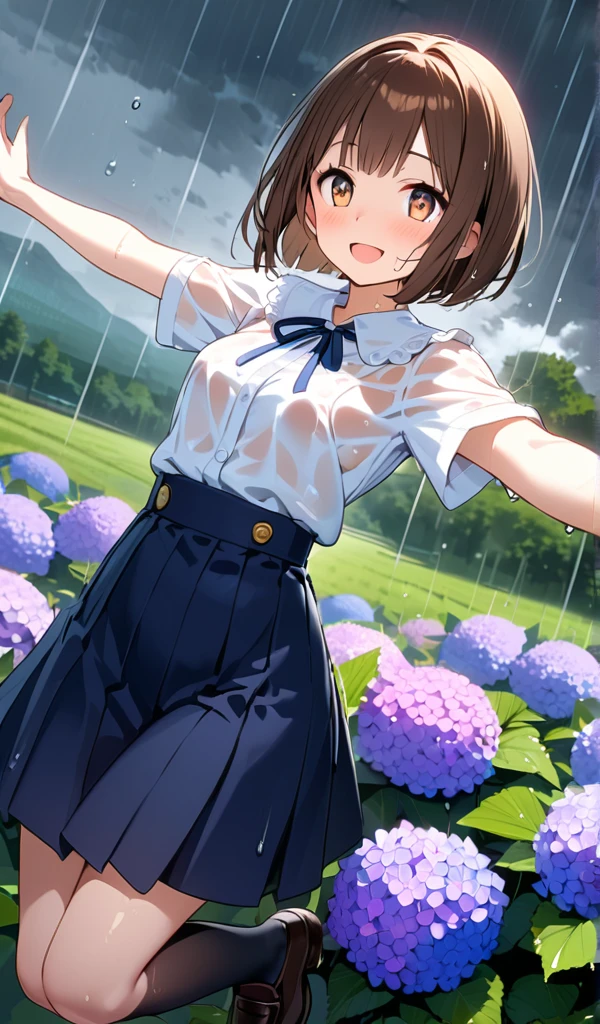 (One Girl),(Best image quality, 8k, Anatomically correct),((Brown Hair,Bobcut)), (Cute eyes, Dark Eyes,Shining Eyes), (thin), (Mid-chest),(Slim body),(Glowing Skin),(Healthy skin color),(Great atmosphere),Ultra-high resolution, Textured skin, Heart Effect,i love you,

Rural landscape,Hydrangea,Hydrangea畑,rain,Grey Clouds,rainbow,

High school girl,White blouse,Navy Blue Skirt,Navy blue ribbon,Black knee-highs,Black Loafers,

Wet clothes,Wet body,Sweat looks fun,Open your arms,Jump,smile,Open your mouth,

Low angle,


