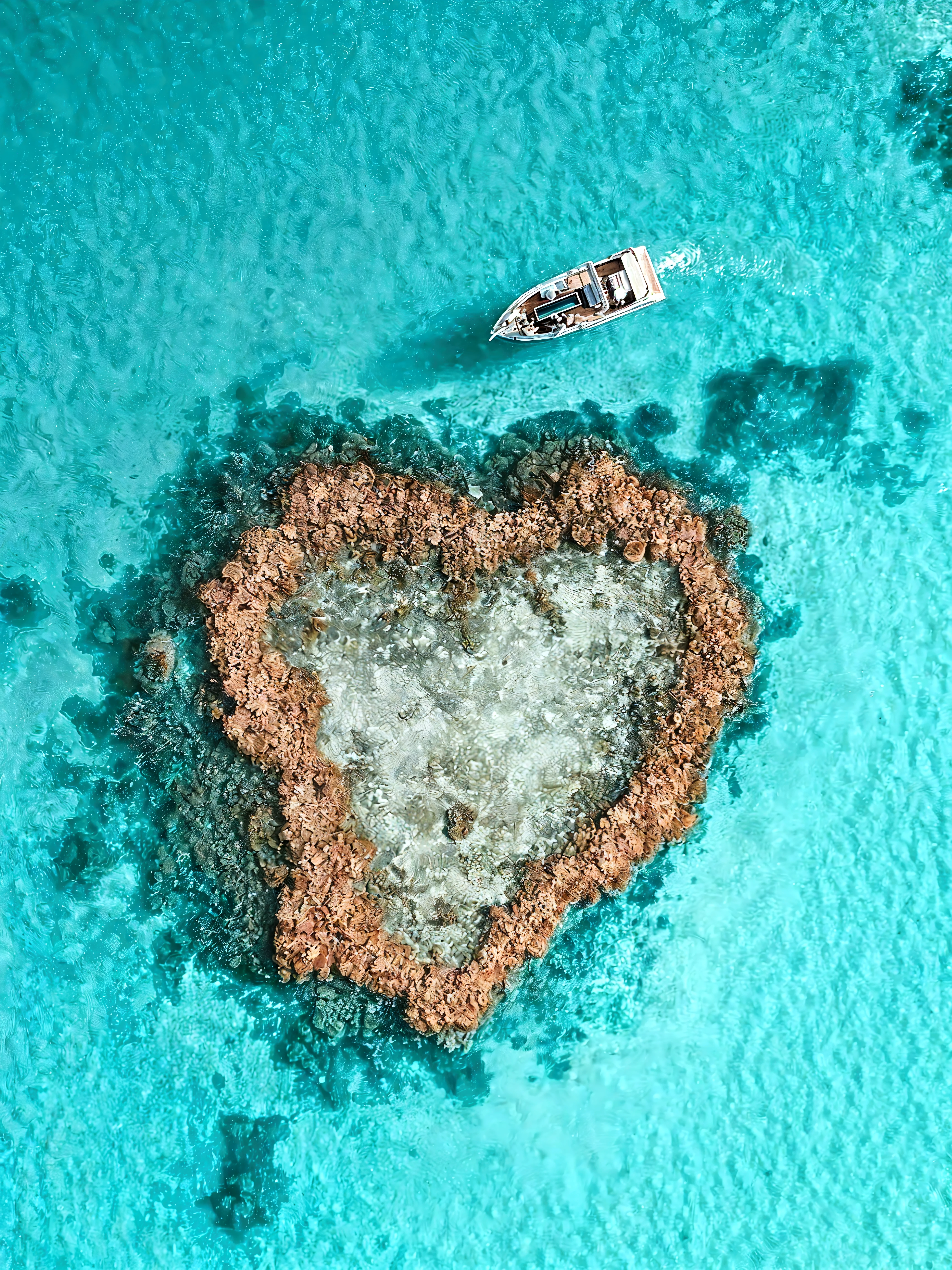 best quality, high resolution, ultra-detailed, extremely detailed, top quality, Smiling Couple, picture frame decorated with seashells,
