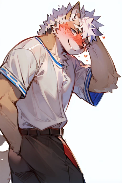 An Anime style Top Body and Right Side Body Picture of A Very Muscular Kemono Furry Style Gray Wolf. He is wearing A White Student Outfit. His one hand is together above his head while his another. The background is white. He have Gray messy and spikey hair. He is looking at the viewer but his head turn sideways of him. His eyes are little red But Mostly white. He is standing in the background. He look like a video game character. He is smiling and blushes with blushes on his face. His tail is sticking upward. He is shy. his mouth is little open