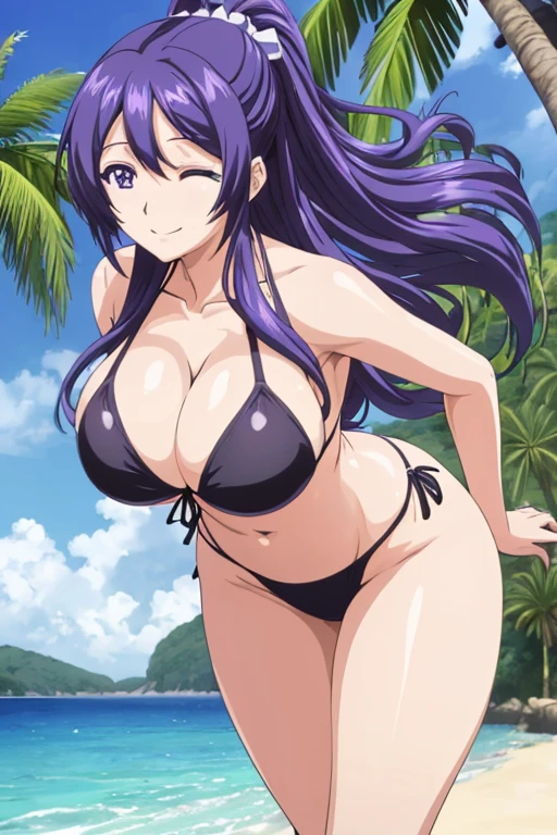 Rei suzukawa ((the highest quality, high resolution, Masterpiece, very detailed)), 1 woman, anime girl, beautiful woman, Long hair, purple hair, horsetail, big breasts, shiny skin, eyes closed, happy, smile, sexy body ((standing)) black bikini, Background of a beach with palm trees 